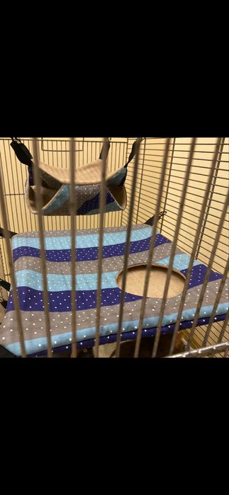 Гамак для гризунів.