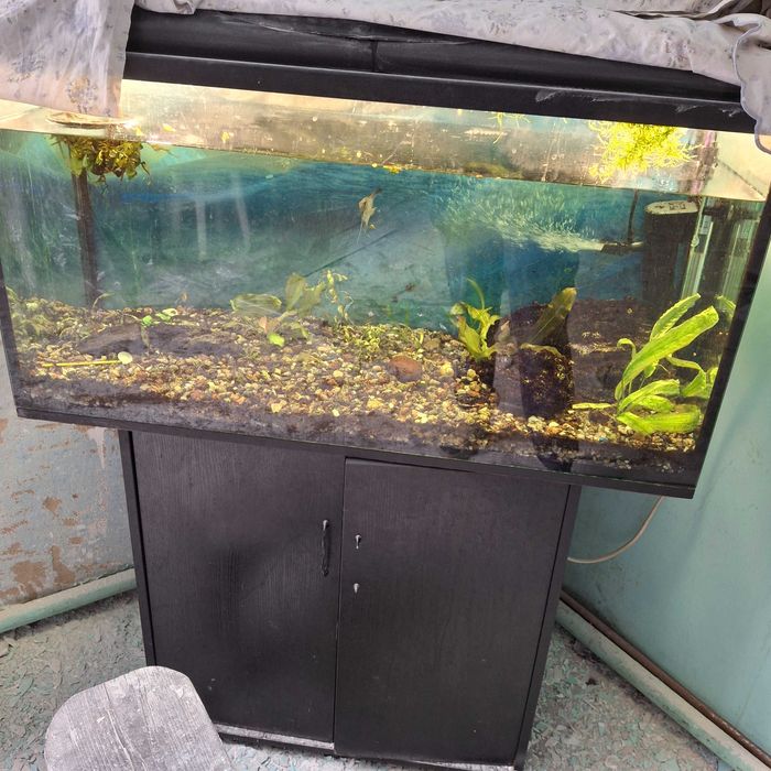 Акваріум на 200 л