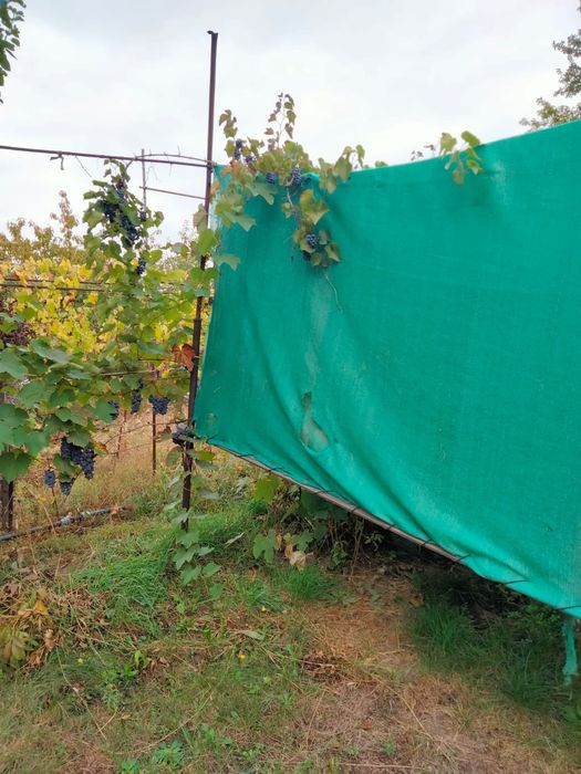 Дача на югокі півдгзк 6 соток