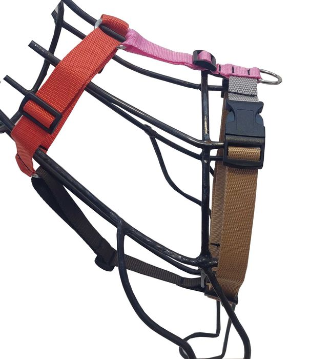 Szelki dla Psa Guard I Sunka Basic M-L