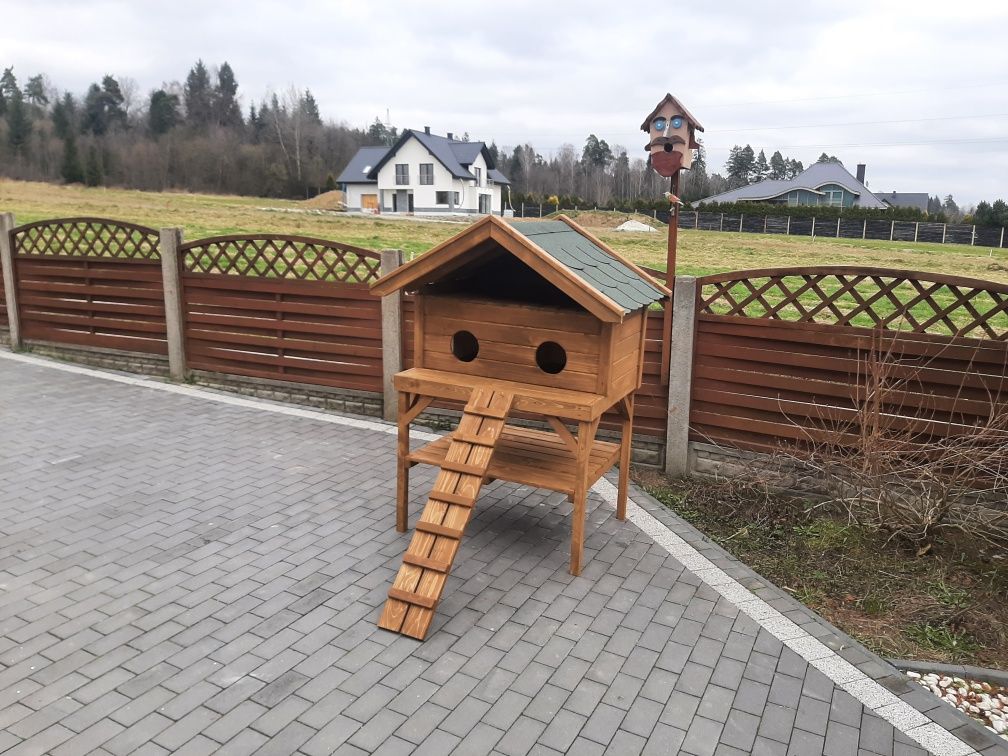 Buda dla dwóch kotów