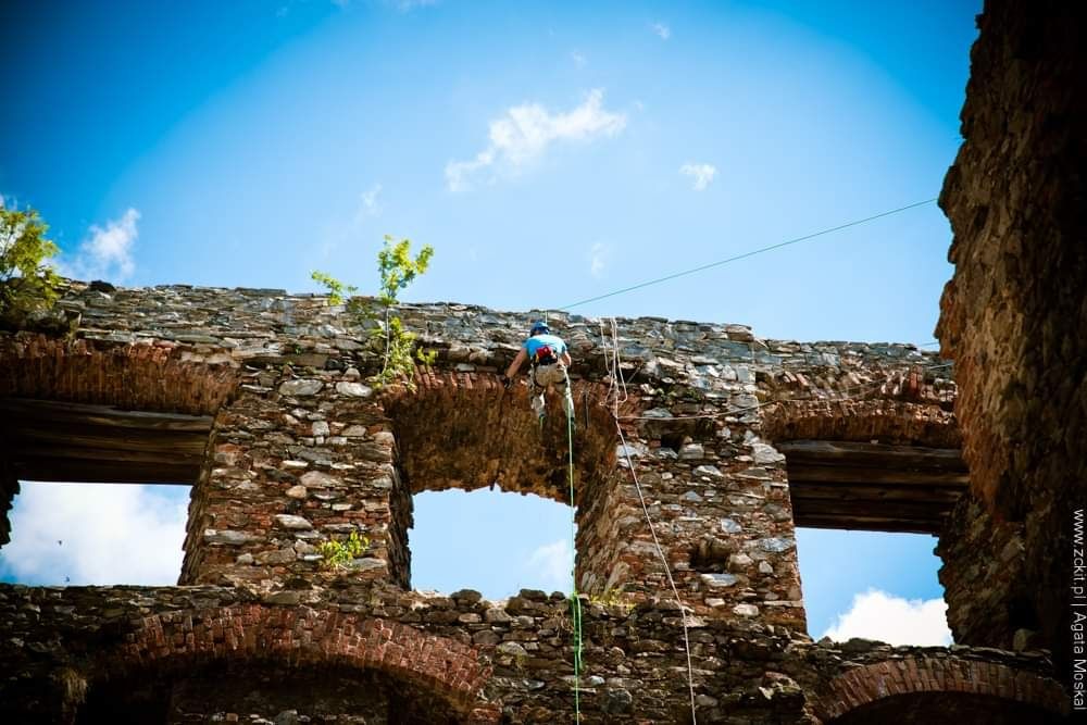 Ścinka, wycinka drzew trudnych, rębakowanie gałęzi, usuwanie pni