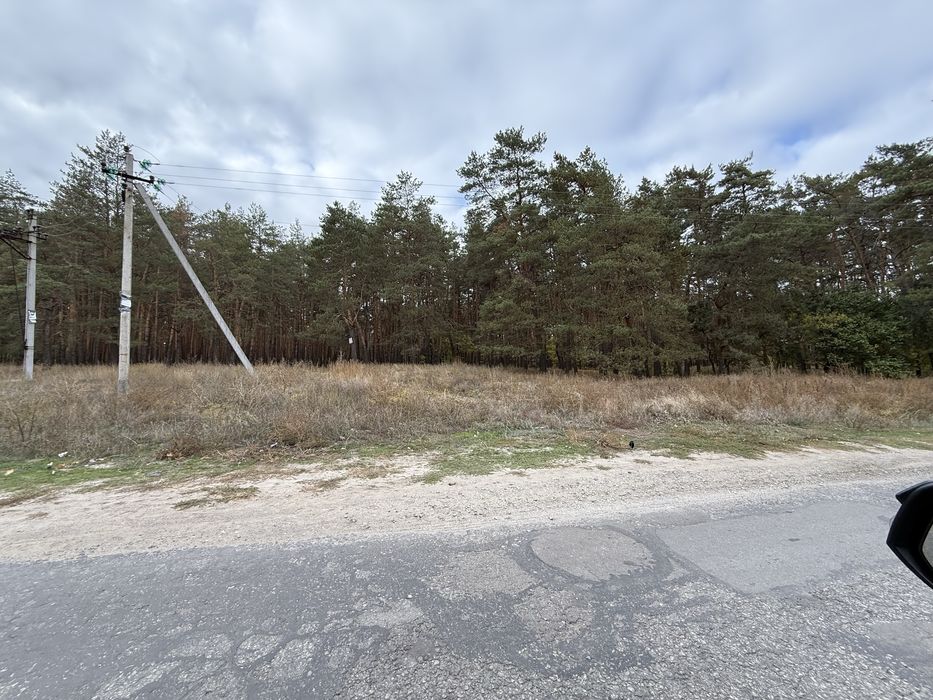 Продам участок с. Орловщина возле соснового леса