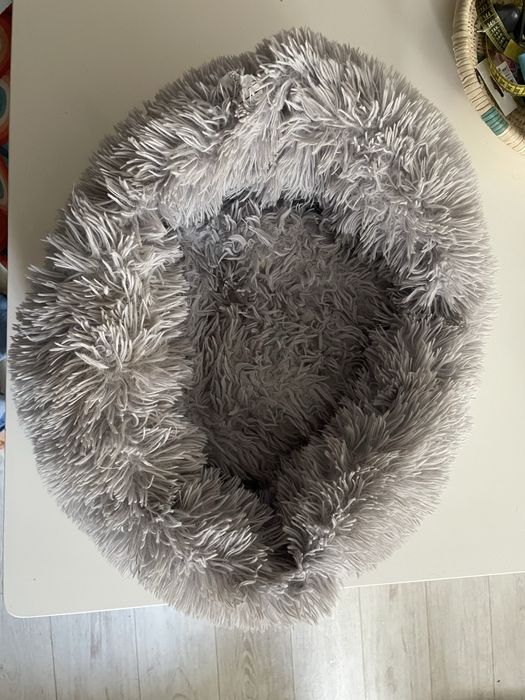 Ofereço cama de gato