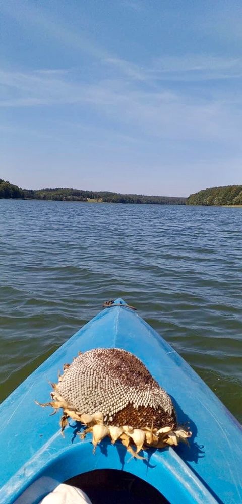 Mieszkanie wczasowe, nocleg MAZURY