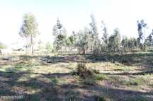 Terreno Urbanizável com 9.200 m2 em Alvarães, Viana do Castelo !