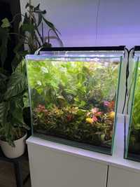 Alwarium kostka 40x40x40 60l krewetkarium