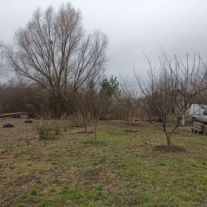 Дача, ділянка 18 соток+сад Олдиш