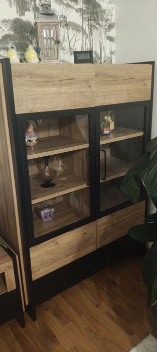 Szafka RTV, witryna loft, industrial