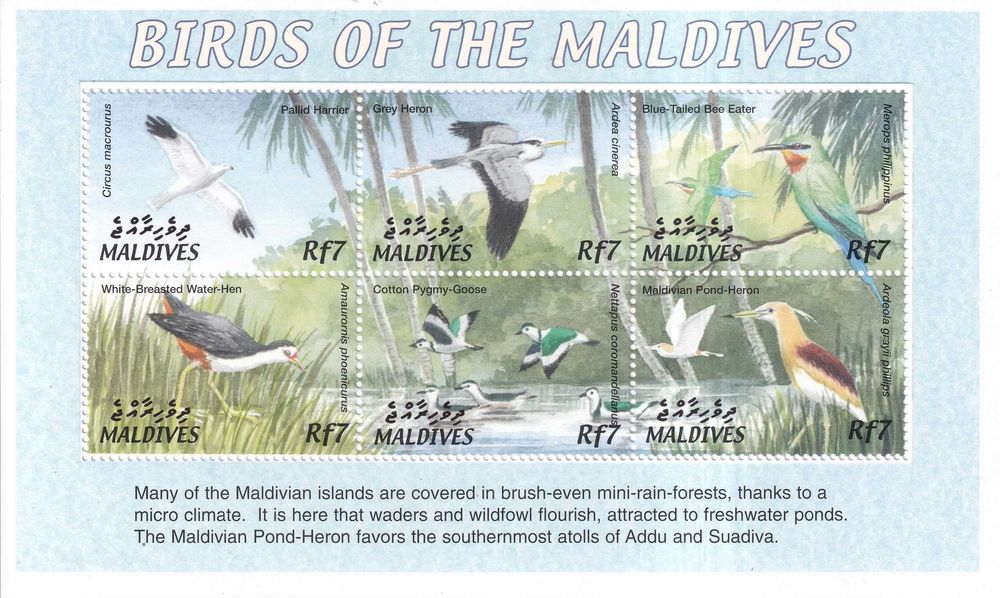 Malediwy 2002 cena 7,70 zł kat.10€ - ptaki