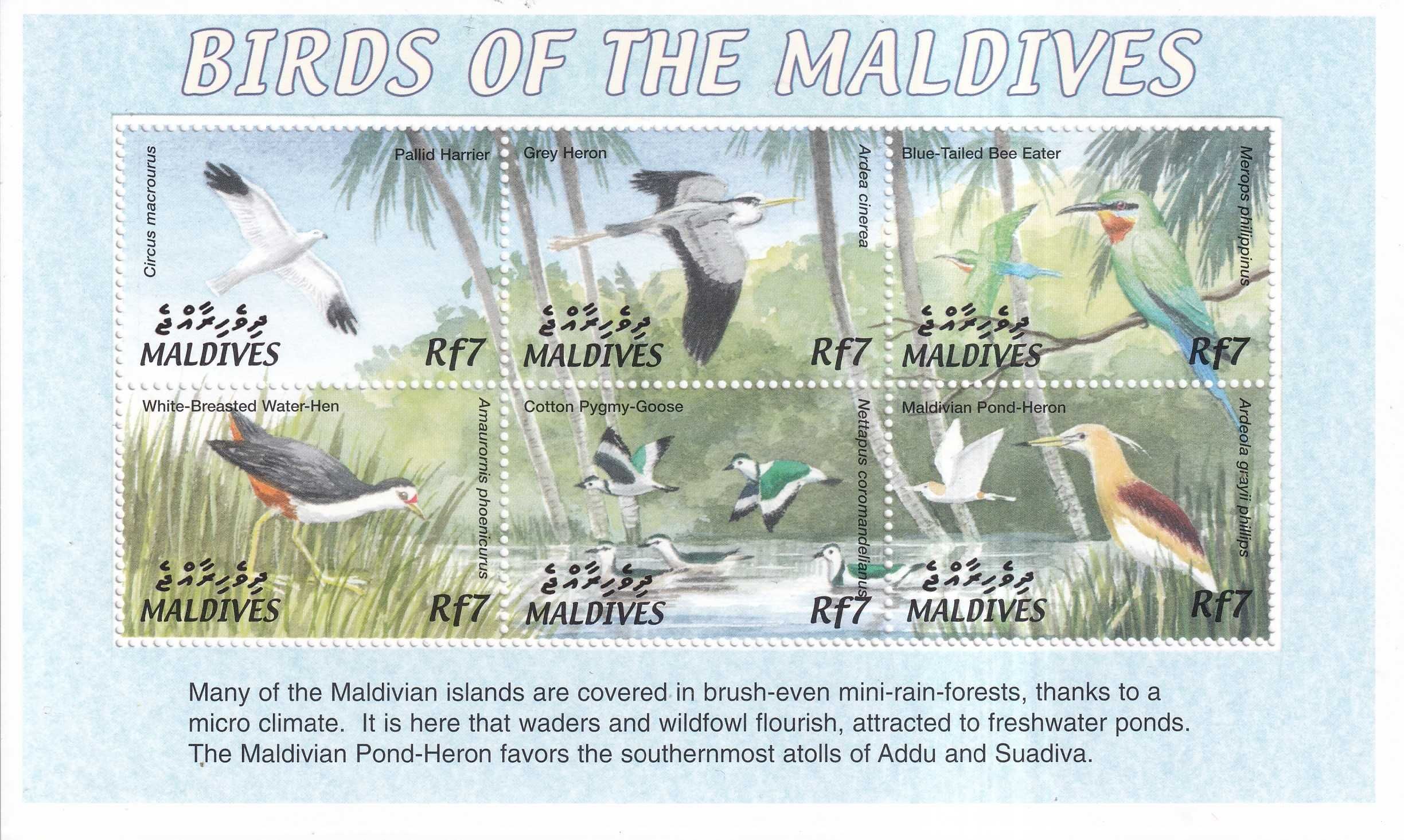 Malediwy 2002 cena 7,70 zł kat.10€ - ptaki