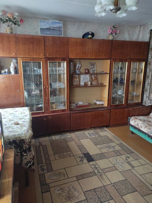 Продам дом в с.Палиево,