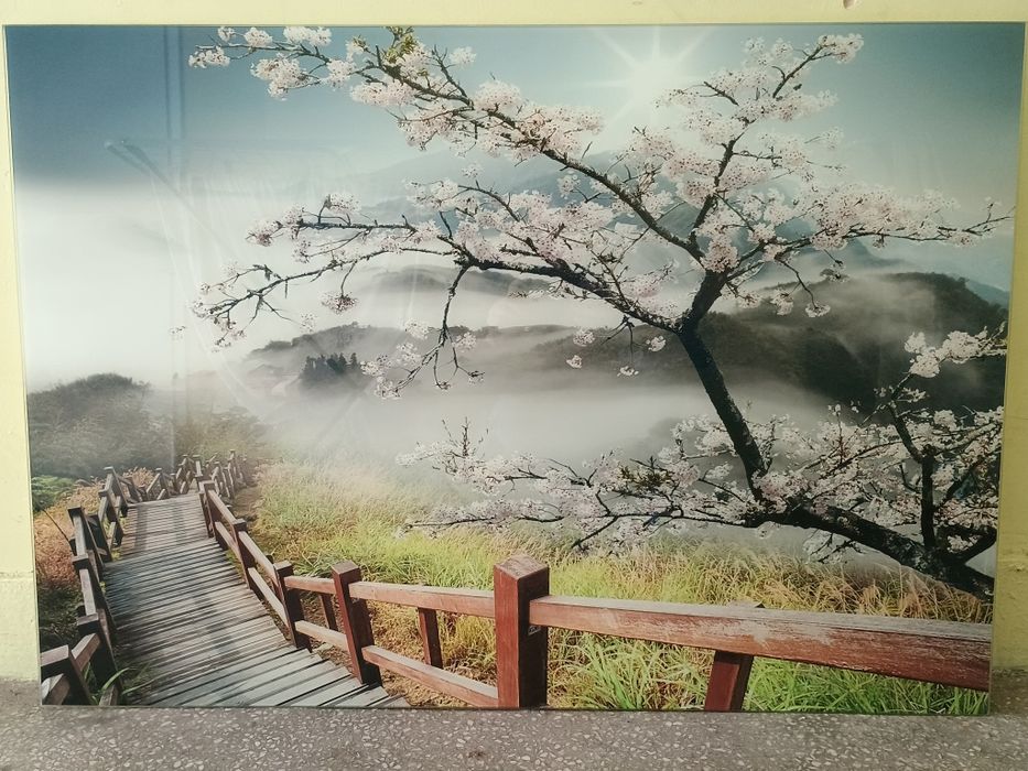 Szklany obraz 100x70