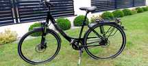 Rower Pegasus Premio Sl