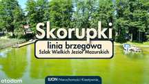 Dwa domy | linia brzegowa jeziora Tałtowisko - Szlak Jezior Mazurskich