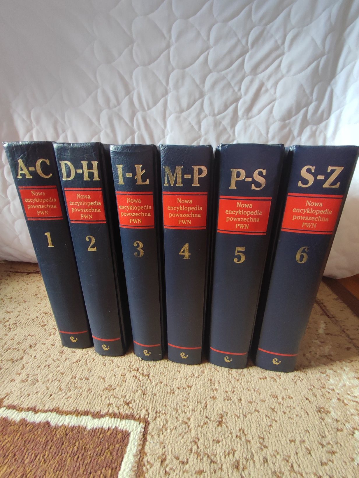 Encyklopedia powszechna PWN 6 tomów