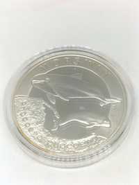 Srebrna moneta kolekcjonerska Morświn 20zł 2004