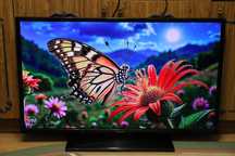 Panasonic  TX - 40CW304   40 дюймов