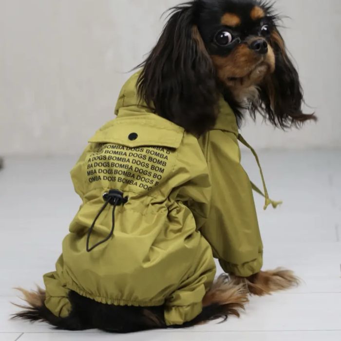 Дощовик для собак. Вітровка