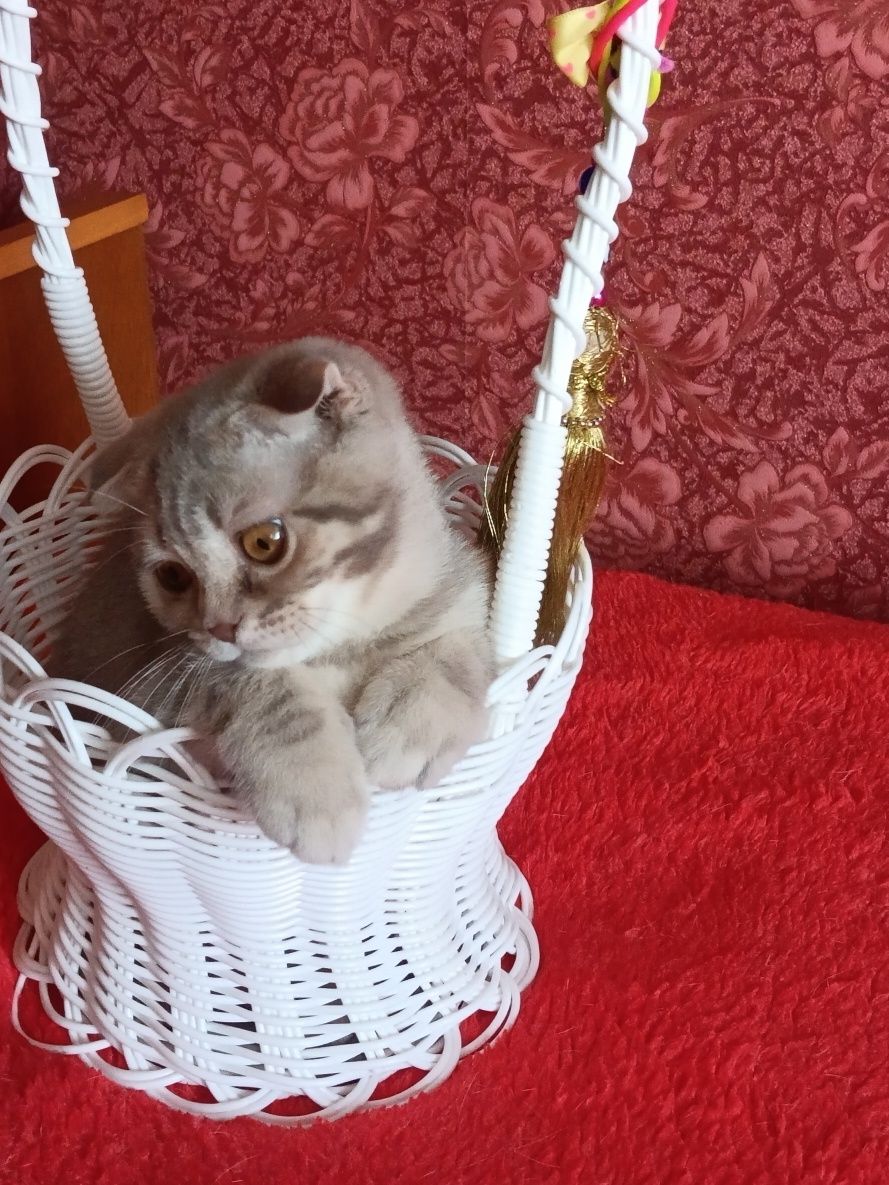 Дуже ласкавий хлопчик