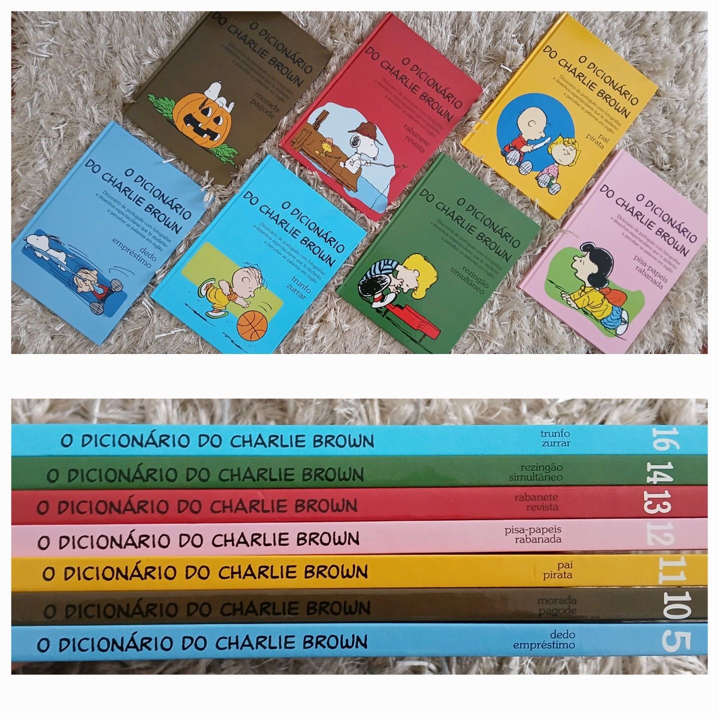 Variados livros como novos