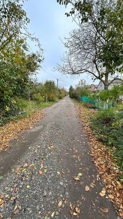 продаж ділянки СТ Чисті ставки