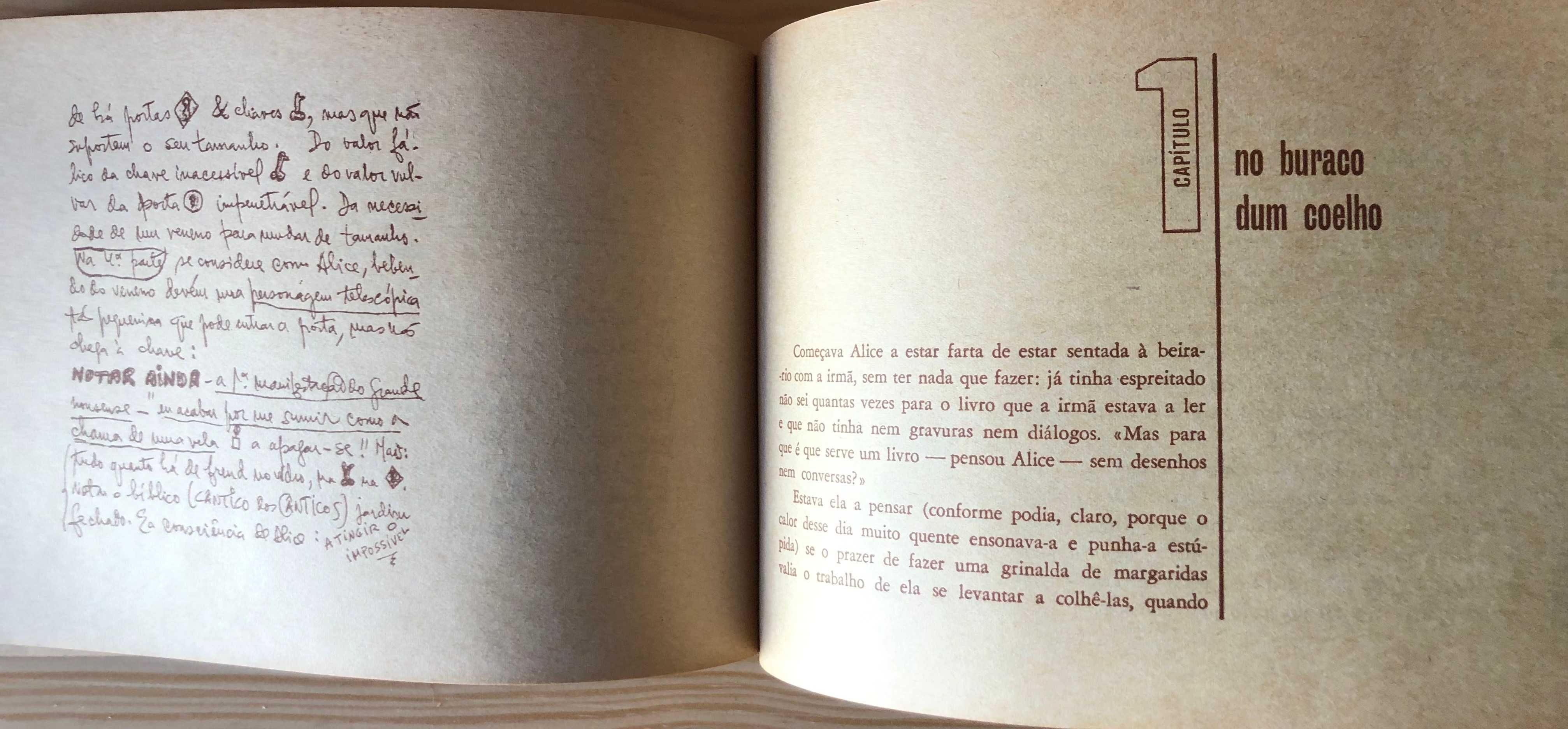 Aventuras de Alice no País das Maravilhas - Lewis Carroll - Afrodite