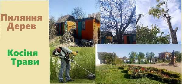 Пиляння дерев та косiня трави.покос травы спил Дерев