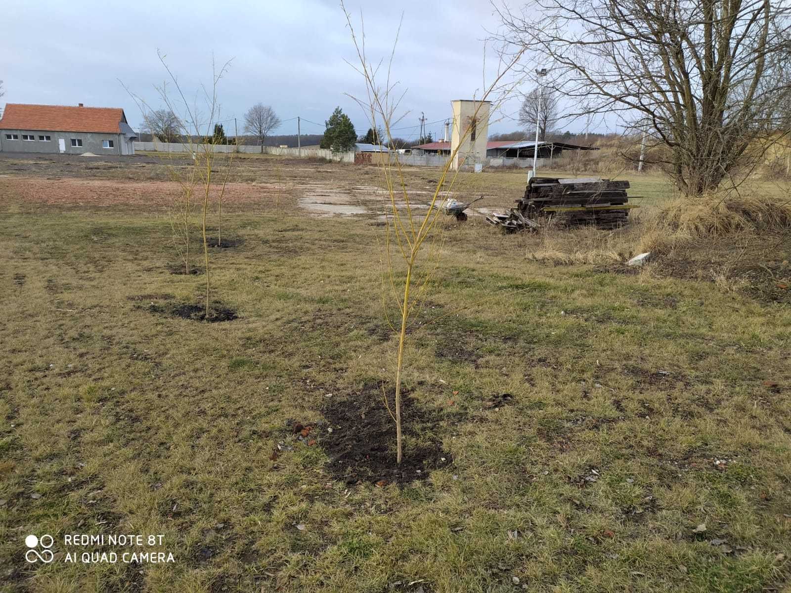 PLAC przemysłowy UTWARDZONY, Kamery, Oświetlony, Biuro, - 8HA