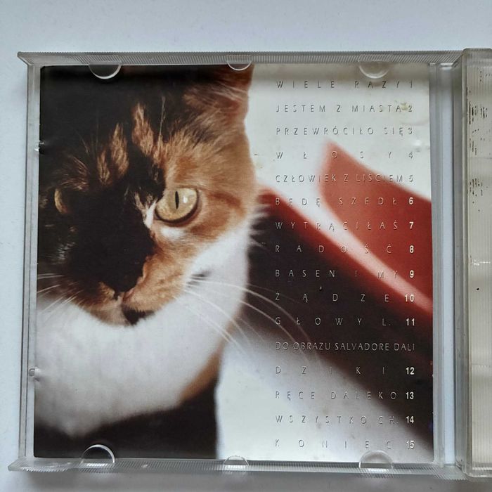 Elektryczne Gitary – Wielka Radość, CD