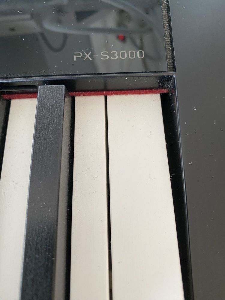 Casio PX-S3000 Black Privia