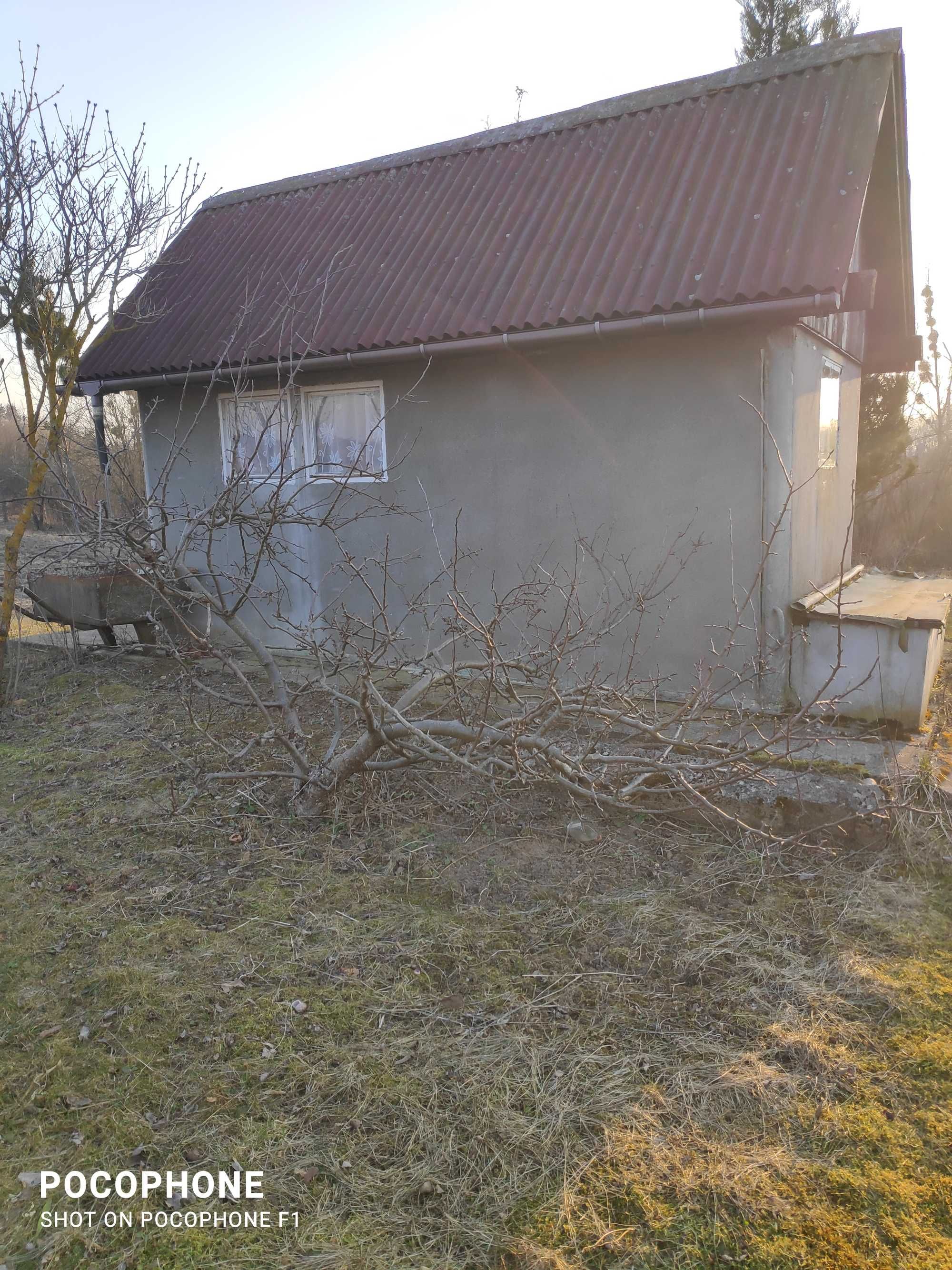 Wynajmę działkę rolną położoną w Czerwonce  aktualne