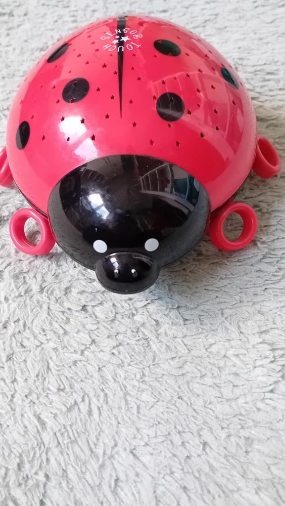 Projektor gwiazd biedronka
