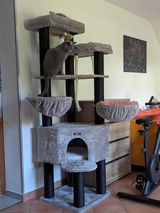 Wielopoziomowy drapak dla kota 186 cm – stabilny (Nowy) legowisko