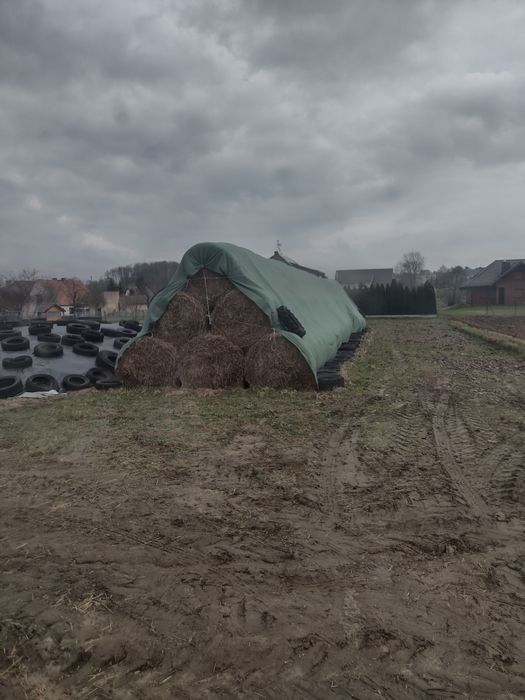 Sprzedam słomę bale 135cm. Zyto, pszenica.