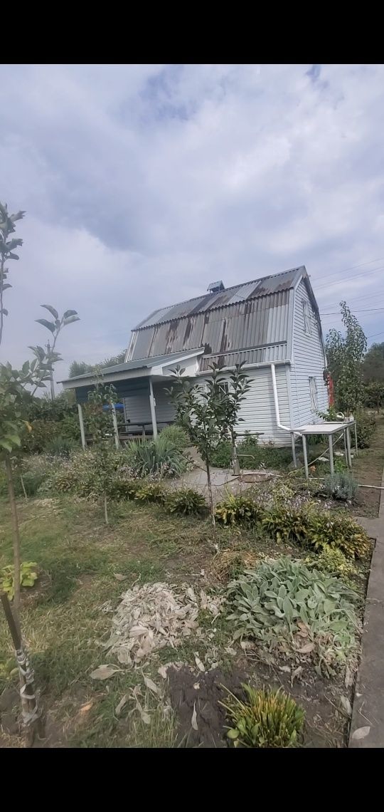 Покраска крыш и чистка .