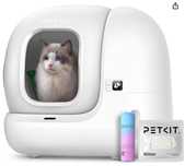 Casa Banho Automática Gato