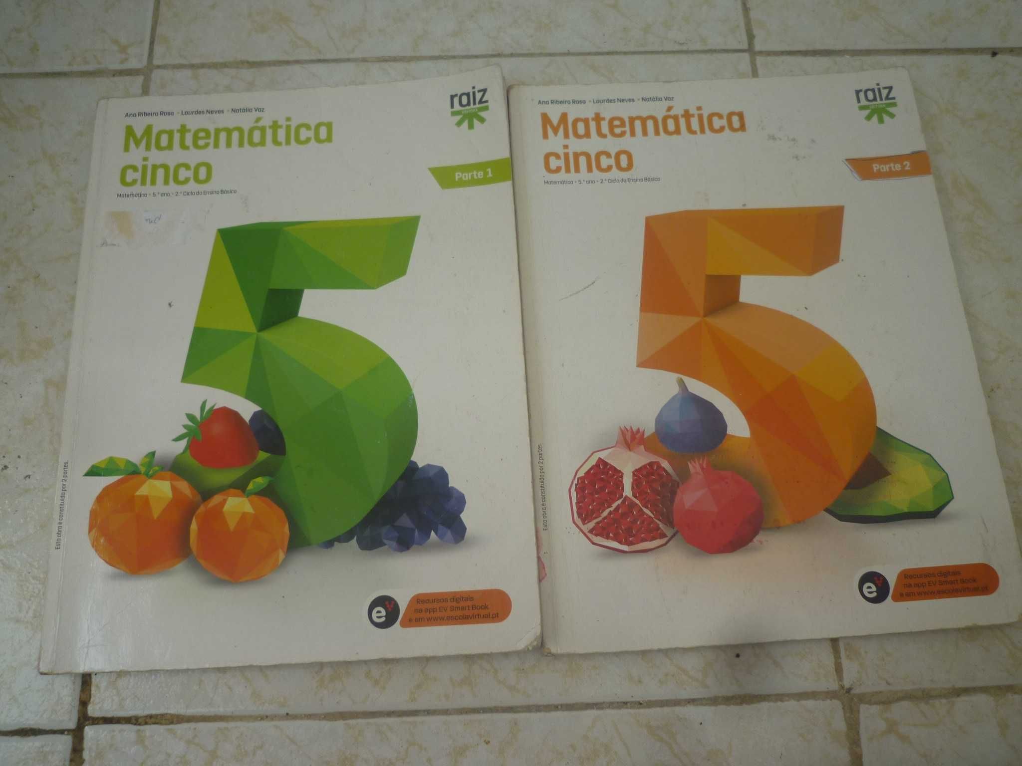 Manual 5º ano Matemática cinco Parte 1 e 2 da Raiz Editora