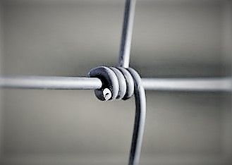 Siatka ogrodzeniowa leśna 125 cm - ochrona przed zwierzętami hodowlana