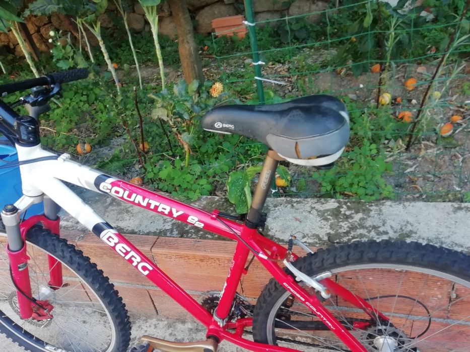 Bicicleta Berg disco