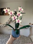 Klocki botanical orchidea 608 elementów Nowe