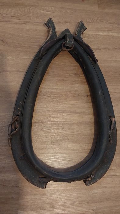 Chomąto dla konia i nie tylko.