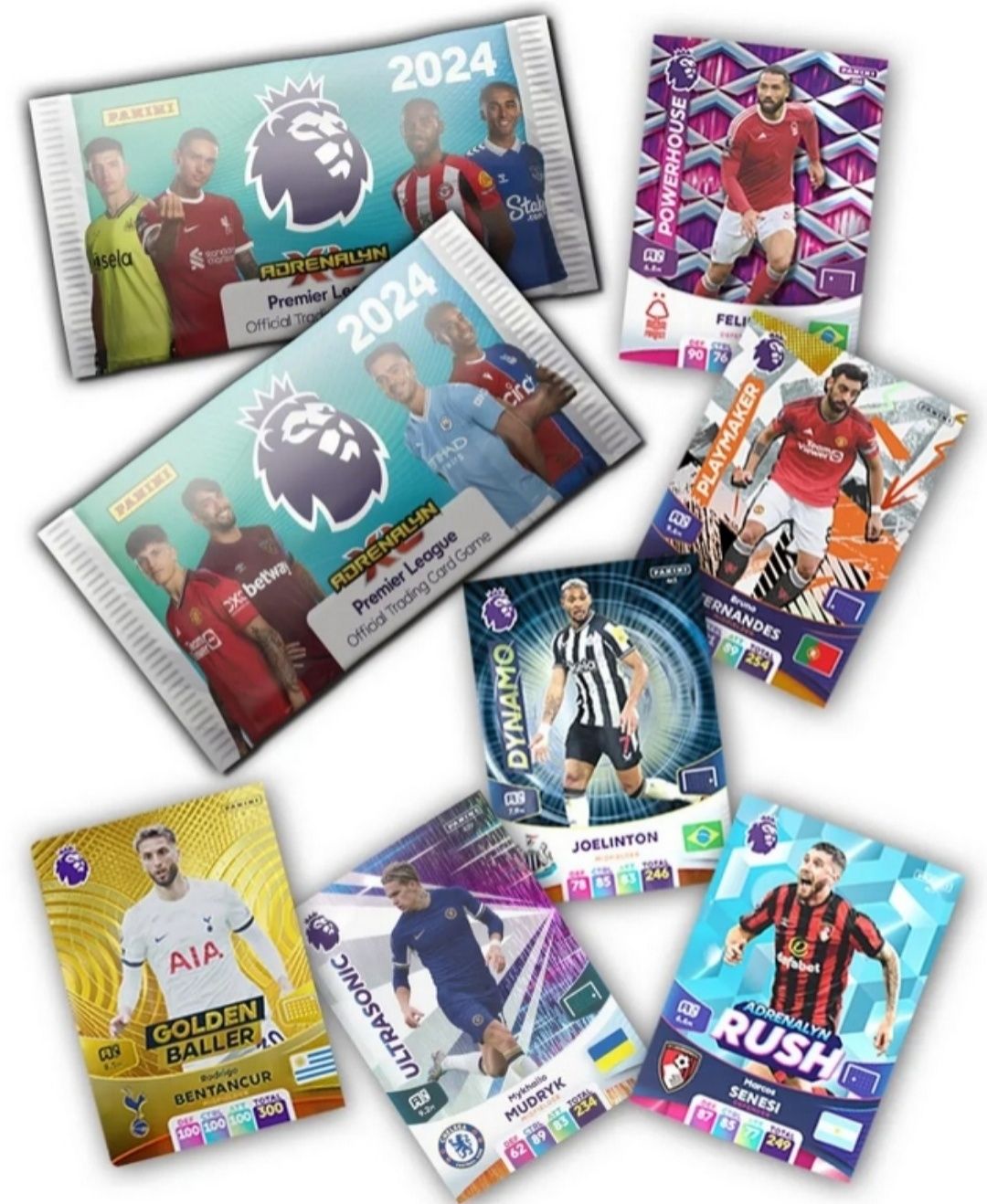 Album Premier League 2024 zestaw karty Panini FIFA