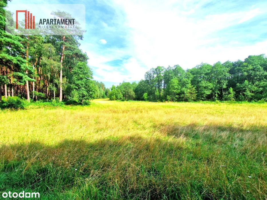 Działka z linią brzegową w Borach Tucholskich