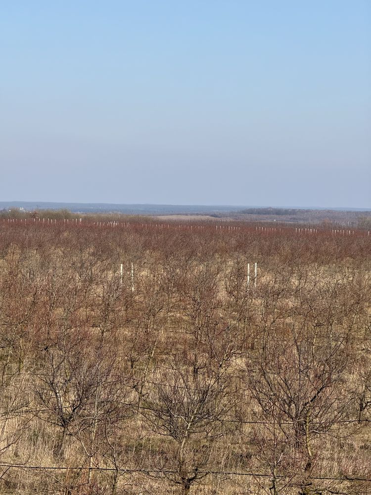 Продаж масиву ділянок с/г призначення , Львівщина