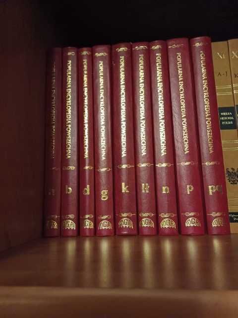 popularna encyklopedia powszechna Pinnex 1998 21 tomów