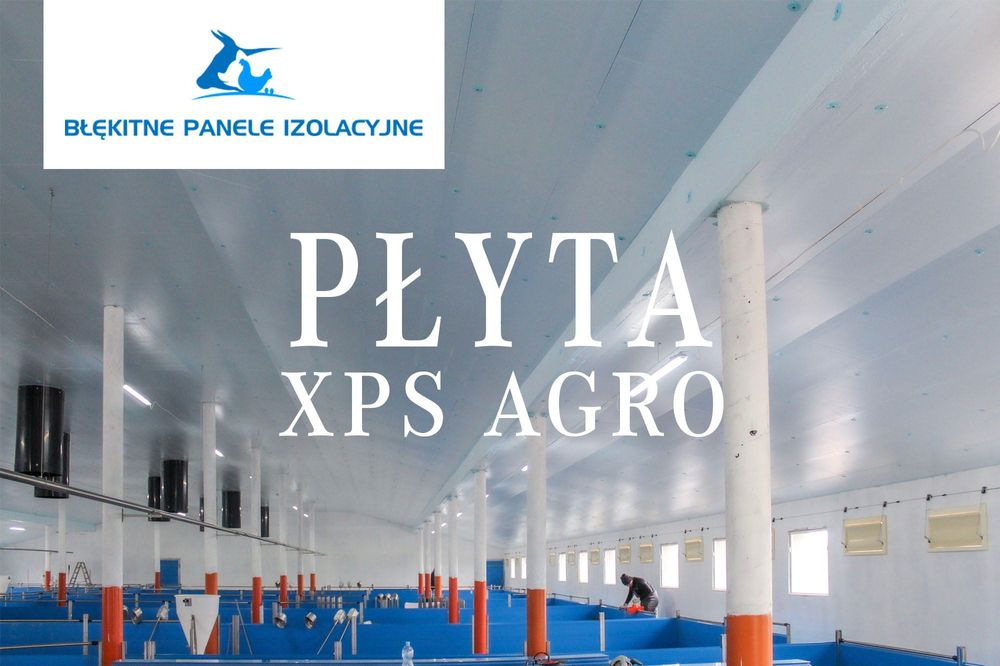 Błękitne Panele Izolacyjne Płyty Styrodur XPS AGRO Podbitka Podsufitka