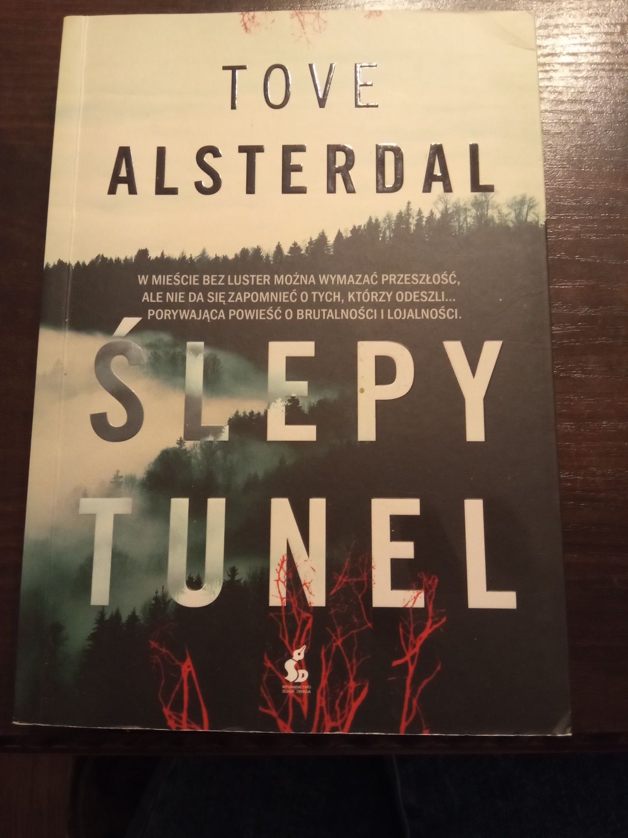 Ślepy tunel Tove Alsterdal