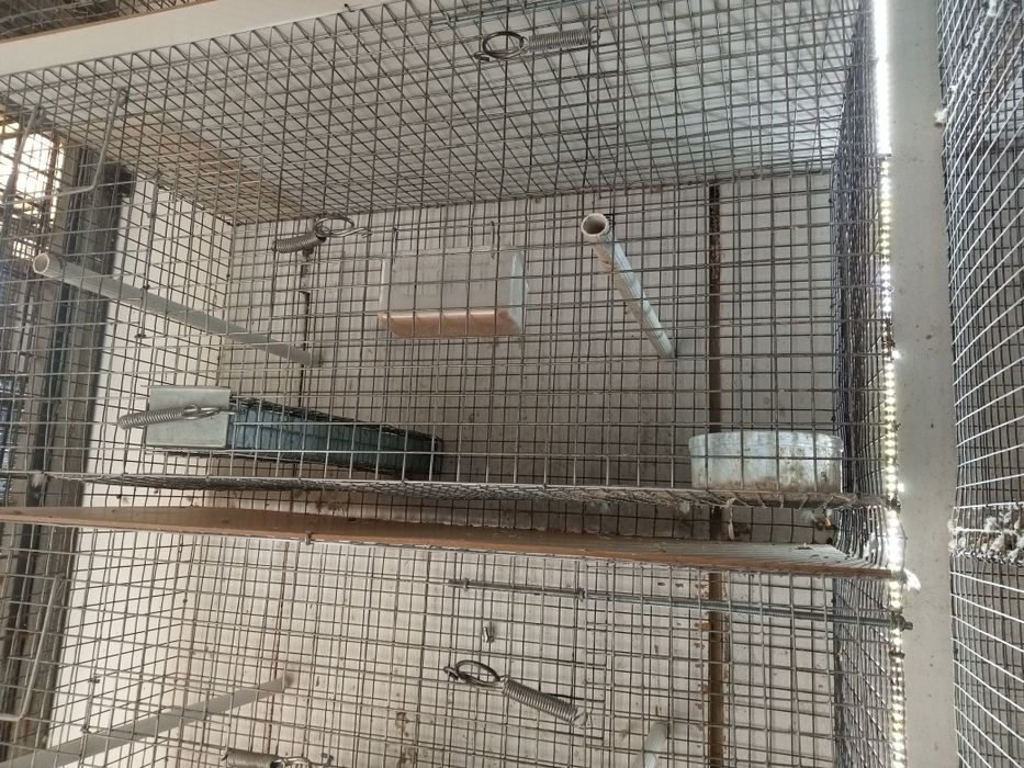 Gaiolas arame zincado