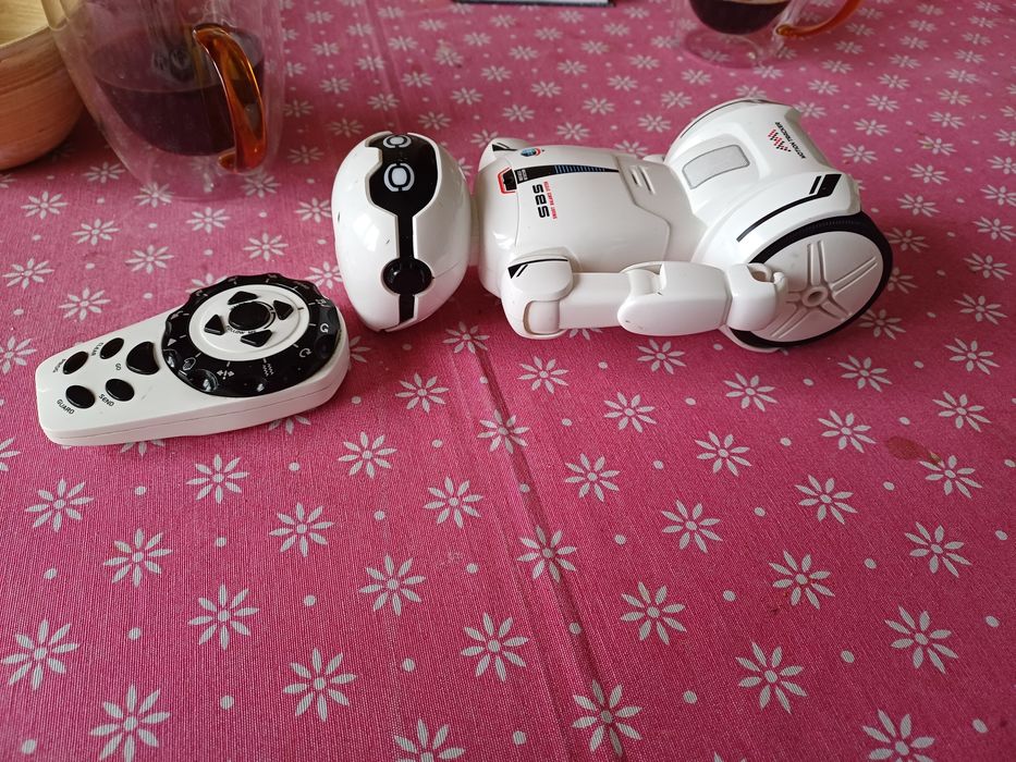Robot zdalnie sterowany